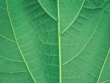 3-Part Breath For Wellness And Energy