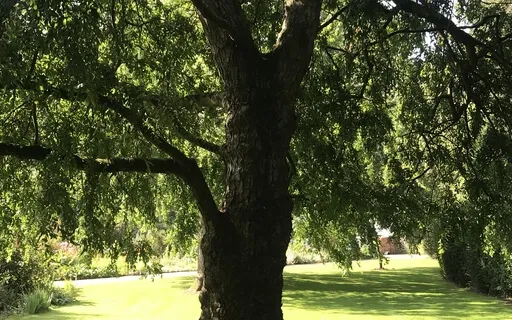 3 Part Breathing - Dirga Pranayama