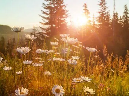 3-Part Meditation For Relaxation