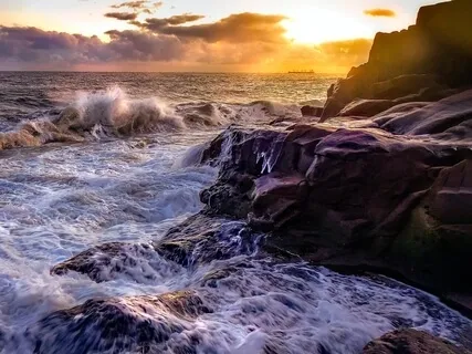 3 Precious Pills Guided Meditation