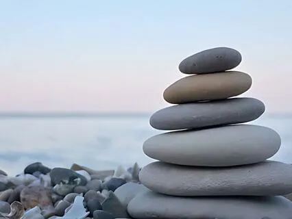 3 Principles Pause - Back To The World