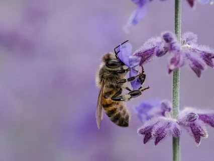 3 Relaxing Breath Patterns