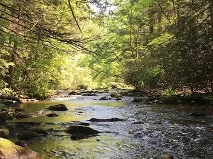 3 Sacred Pillars Of Reiki 