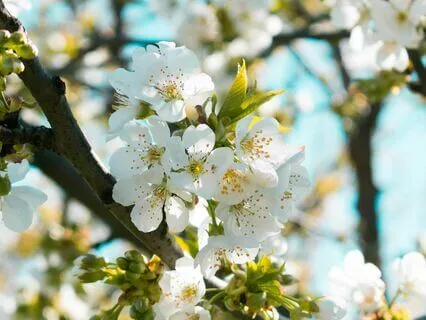 3 Scientific Reasons To Never Shout At Anyone