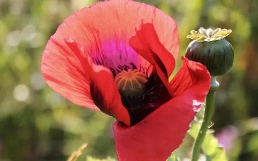 3 Seconds To Being Your Higher Self 