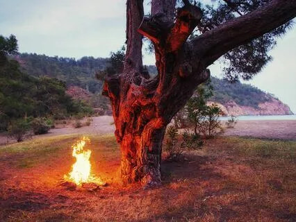 3 Signs You’re Leaving Your Old Self Behind