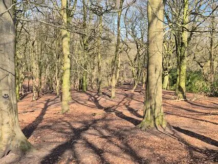 3 Stage Breathing Space - Reset & Calm Your Mind