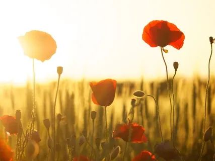 3 Stage Breathing Space 