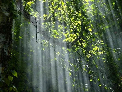 3 Step Breathing Space