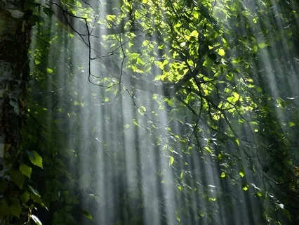 3 Step Breathing Space