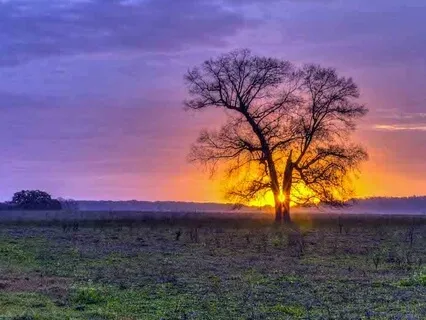 3-Step Breathing Space For Stressful Situations