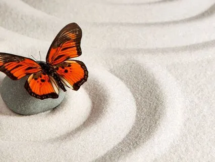 3-Step Breathing Space