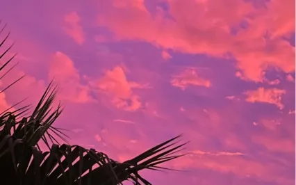 3 Step Emotional Detox 