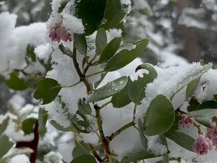 Subliminal Self-Love Affirmations With Guitar