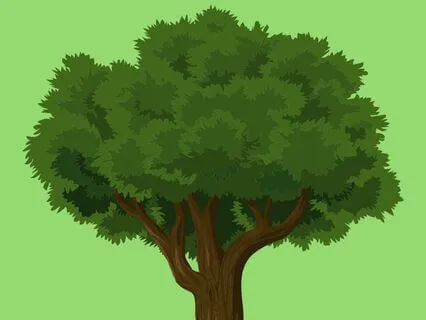 3 The Natural World Sleep Series - Natural Selection