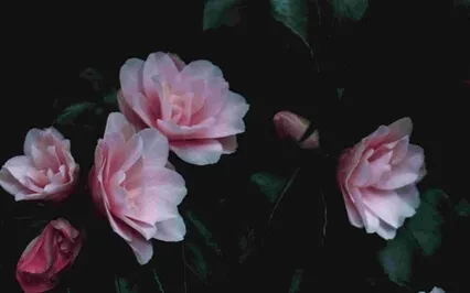 3 Tips You Need To Do Today To Lead With Feminine Energy