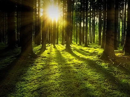 3 Ways To Lighten Up Your Experience Of Ascension