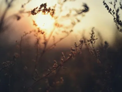 3 Wins Daily: Uplift Mood & Productivity