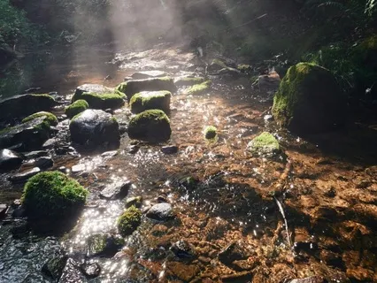 3. With Every Breath, Return To Compassion, To Your Heart