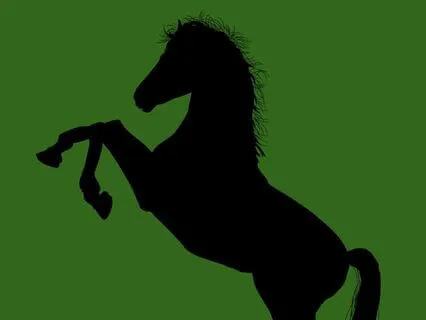 30 Black Beauty - Read By Stephanie Poppins