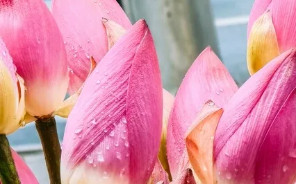 30-Дневная Медитативная Практика на Возврат Любви к Себе