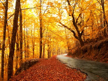 30. Merging With The Divine (Advanced)