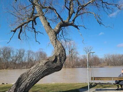 30 Min Grounding & Cleansing Visual Meditation