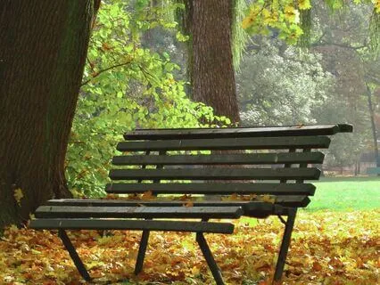 30 Min Of Calm Piano And Singing Birds