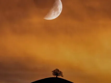 30-Min Relaxing Guitar: Lullaby Of The Moon