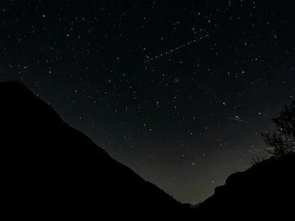 30 Min Yoga Nidra To Fall Back Asleep | Sounds Of Nature