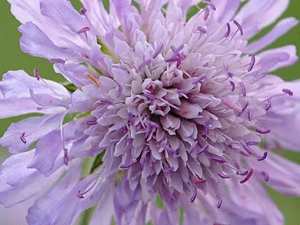 30 Min Yoga Nidra To Grieve Deep