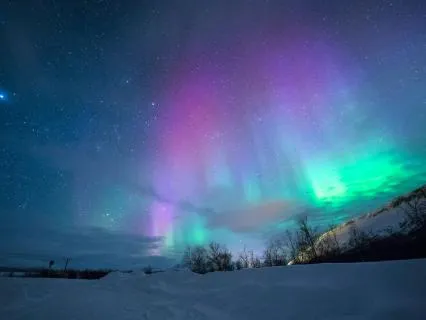 Dreamscape | Relaxing Sound Journey | 30 Minutes