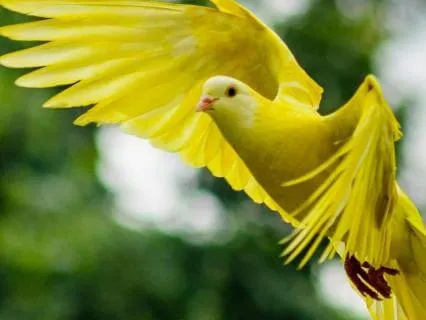 30- Minute Ambient Soundscape For Peace And Calm