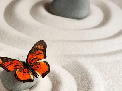 30-Minute Deep Relaxation Music | Stress Relief & Calm Mind