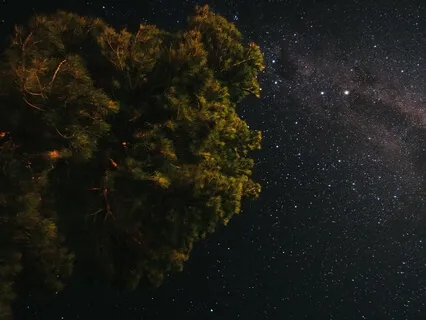 30 Minute Evening Body Scan