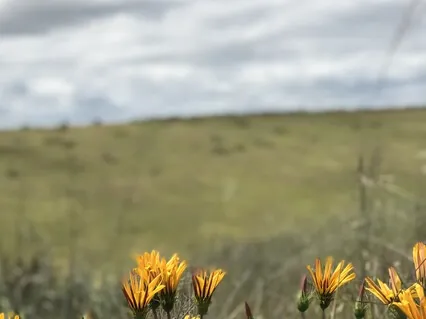 30-minute Lying Mindful Movement Practice