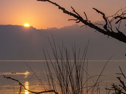 30 Minute Practice - 40 Days To Personal Revolution