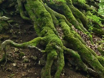 30-Minute Practice For Grounding And Stability