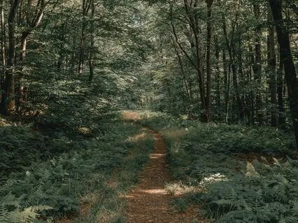 30 Minute Music Meditation | Relaxation & Focus