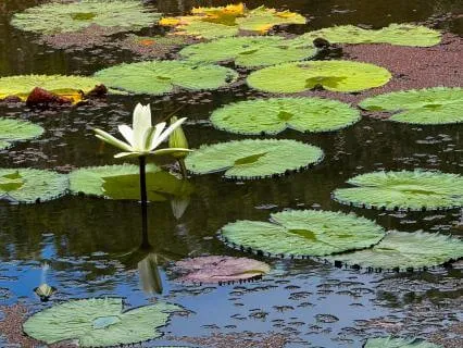 30 Minute Yoga Nidra: A Biological Way To Boost Your Energy