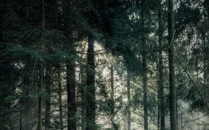 30 Minute Yoga Nidra For Grounding