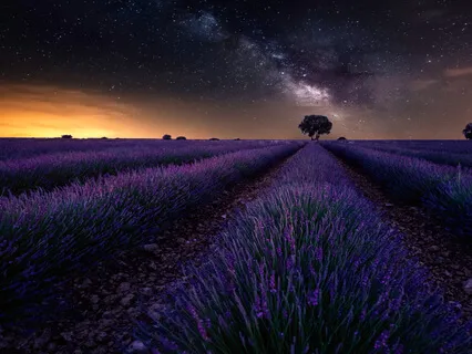 After A Challenging Day: Nourish & Release Your Weary Soul With Babbling Water Music