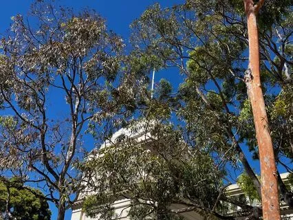 30 Minutes - Grounding, Breath And Silence.