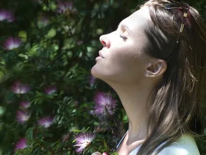 30 Minutes Serene Brain Music