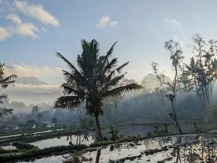 30 Minutes Yoga Nidra For Replenishment