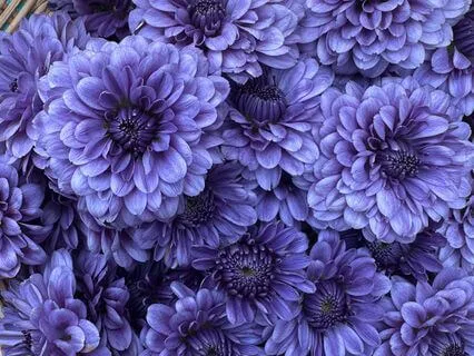 30-Second Pause For Overwhelm