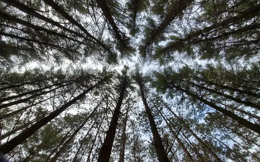 30 Seconds Of Breath