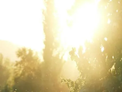 31-Minute Summer Solstice Yoga Nidra