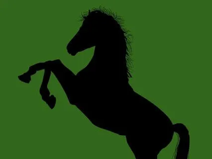 33 Black Beauty - Read By Stephanie Poppins