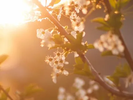 333 Hz Tuning Fork for Expansion, Awareness & Creativity